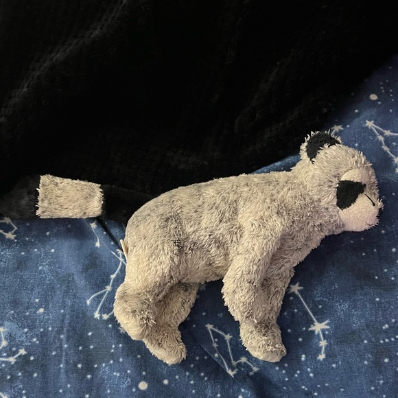 VINTAGE 2002 Ty Beanie Baby Bandito Raccoon - Picture 3 of 5